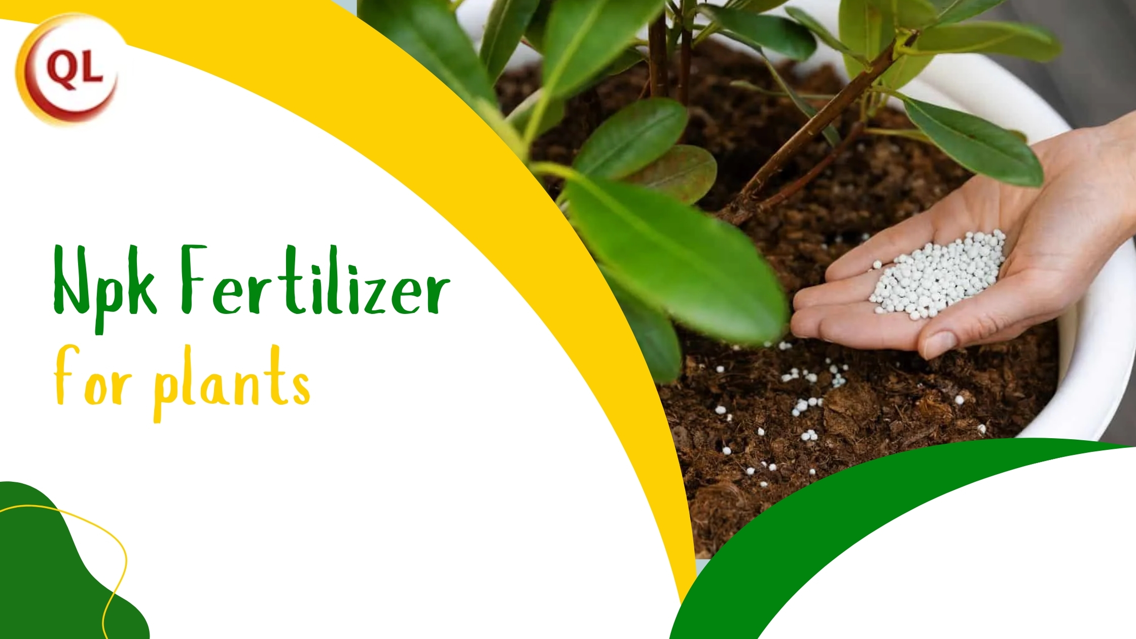 Choosing the Right NPK Fertilizer for Plants for Higher Yield |...